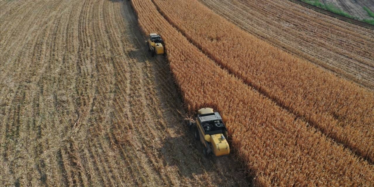 bakanlik resmen acikladi 274 milyon tllik odemeler hesaplara yatiyor QUmpO7KA