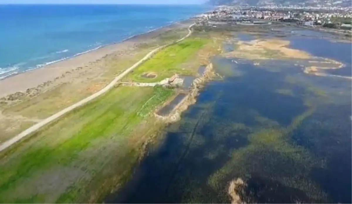 milleyha sulak alani dogal sit alani olarak tescillendi 9wjO16Mb