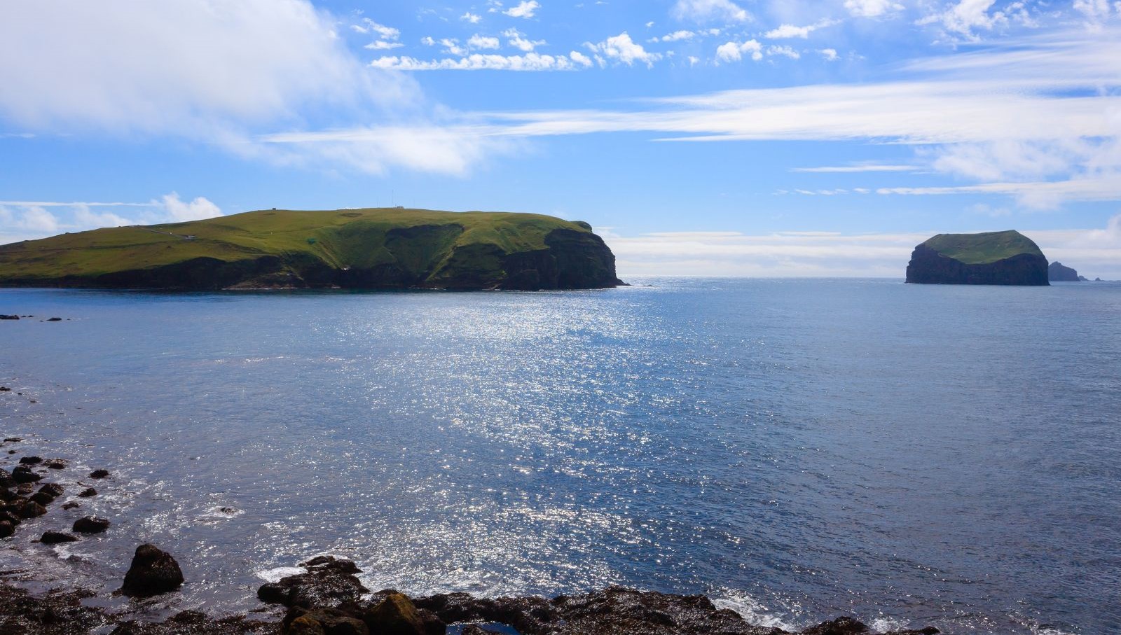 60 yil once dogan ada tabiatin kendini nasil onardiginin kaniti oldu 2Je7FedB.jpg