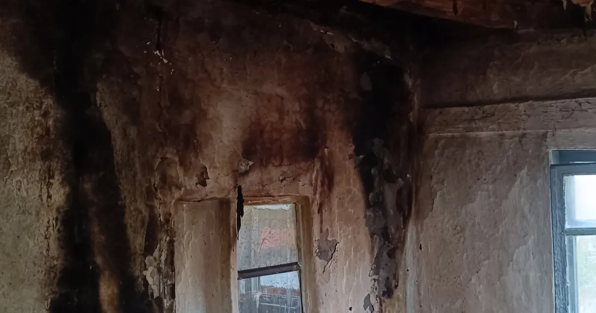 bilecikte yildirim panigi S2IKdv68.webp