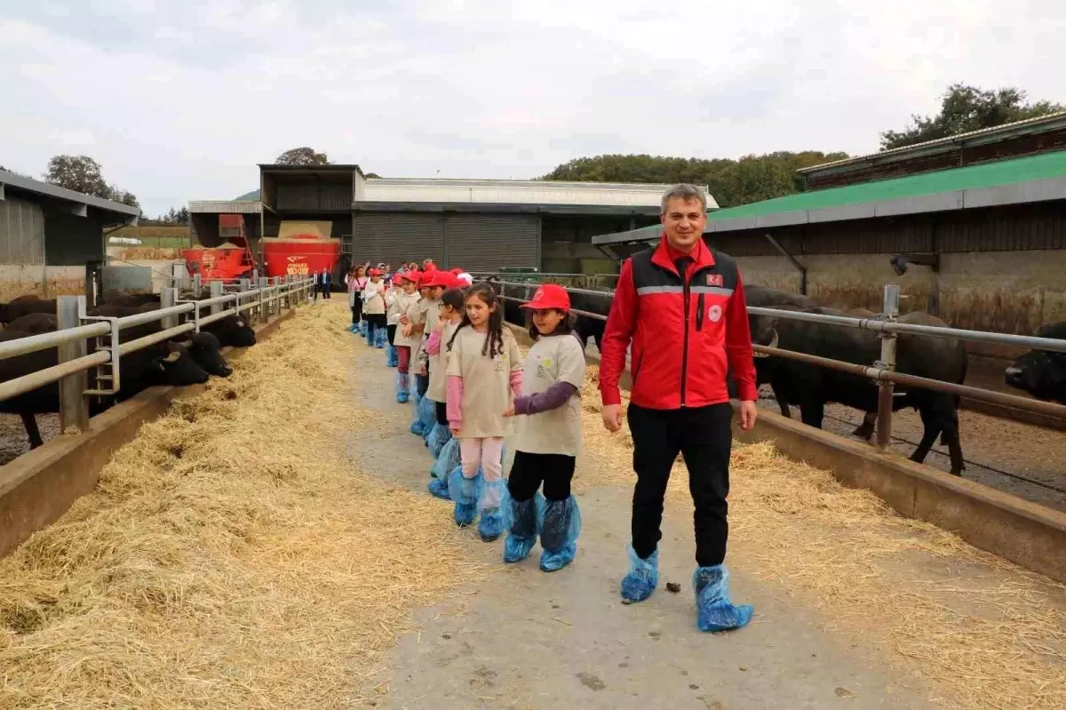 kandirada lider cocuk tarim kampi q58tJPDK.jpg