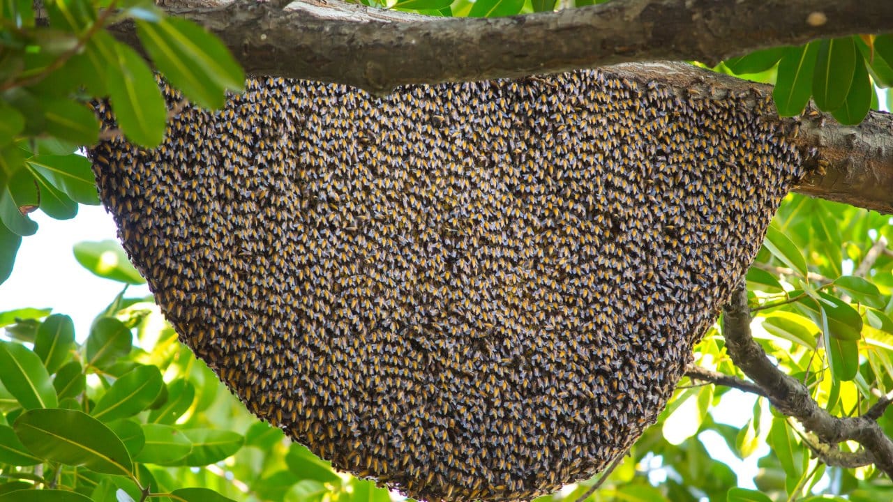 bingolde ureticilere yuzde 75 hibe verildi 7LZiJQeS.jpg