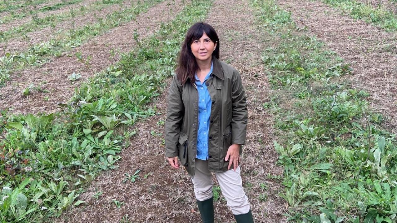 kariyerini birakti topraga dondu seda cem kadin ciftcilere ilham oluyor ZfYvgnIy.jpeg