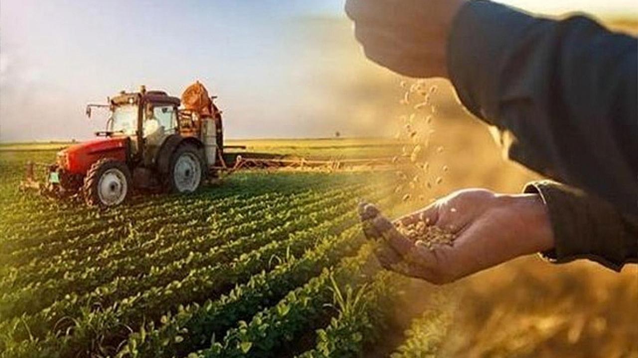 Başvurular 31 Aralık’ta sona erecek! TZOB’tan uyarı geldi