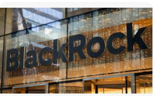 BlackRock Türk Hisselerine Dönüş Yaptı: “Piyasada Dönüş Sinyalleri Var”