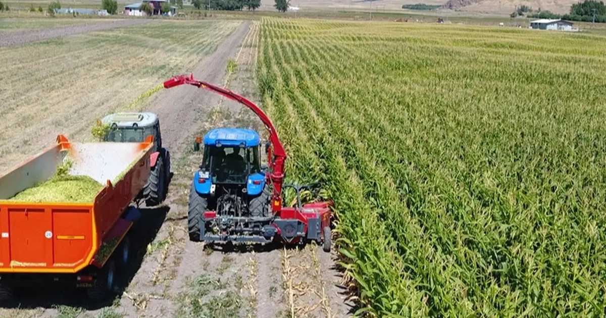 Haber gorseli